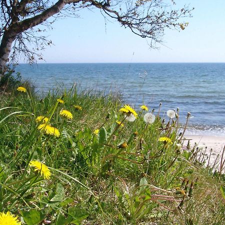 Ystad Camping Exterior photo
