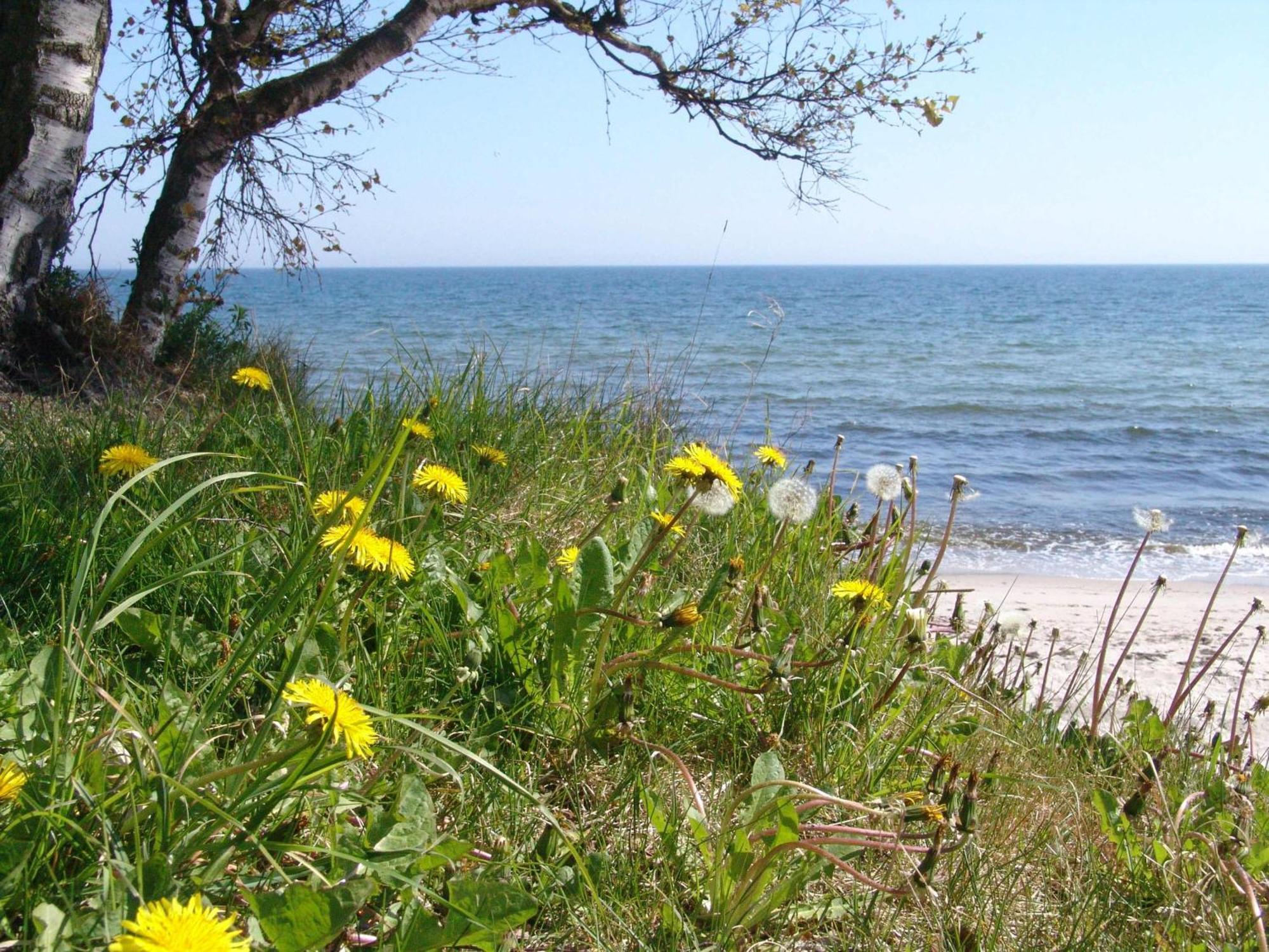 Ystad Camping Exterior photo